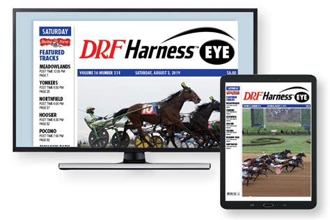DRF Harness .